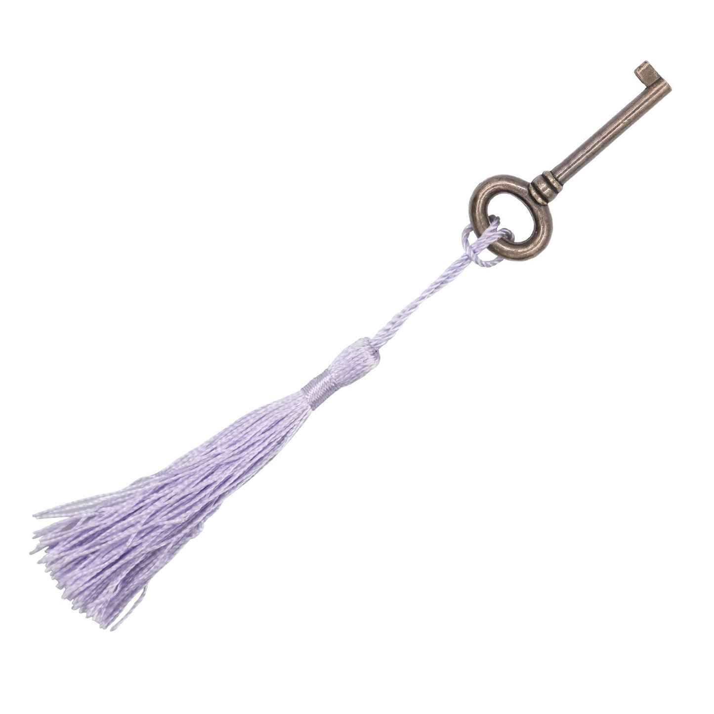 Foraineam 300 Pieces 20 Colors 5 Inch / 13cm Silky Handmade Soft Tassels Floss Bookmark Tassels with Loop for Jewelry Making, DIY Craft Projects, Bookmarks